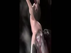 Naughty hentai babe got caught and abused by tentacles